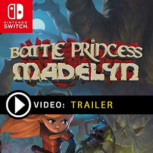 Battle Princess Madelyn Nintendo Switch Prices Digital or Box Edition