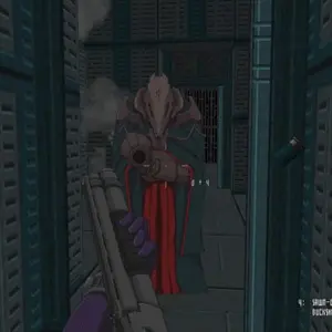 Beyond Citadel - Sawn-off Repeater