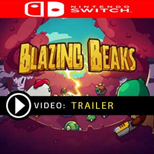 Blazing Beaks Nintendo Switch Prices Digital or Box Edition