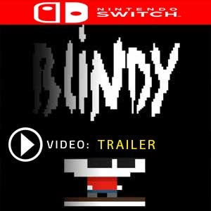 Blindy Switch