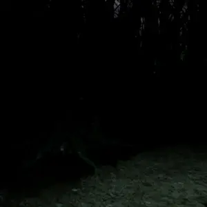 Blood Hunting - Cave