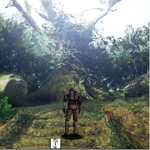Boinihi The Ki Codex - Forest