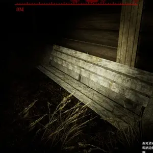 Borderline Homicide - Bench