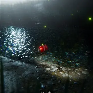 Bottle Can Float - Cola Can