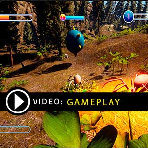 Busy Spider Gameplay Video