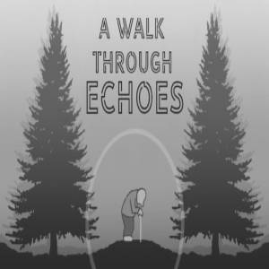A Walk Through Echoes