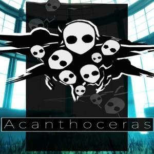 Acanthoceras Pc