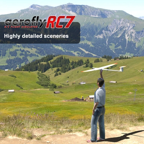 aerofly RC 7 Professional Edition