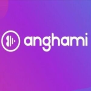 Buy Anghami Plus Gift Card Compare Prices