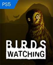 Birds Watching