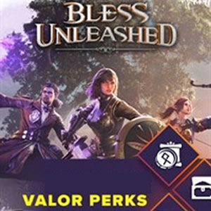 Bless Unleashed Valor Perks