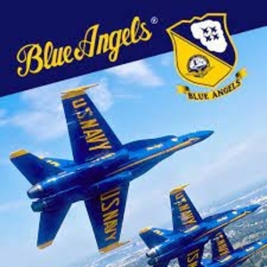 Buy Blue Angels Aerobatic Flight Simulator PS5 Compare Prices