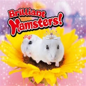 Brilliant Hamsters