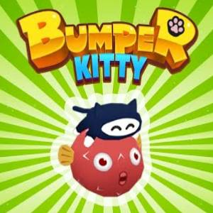 Bumper Kitty Switch