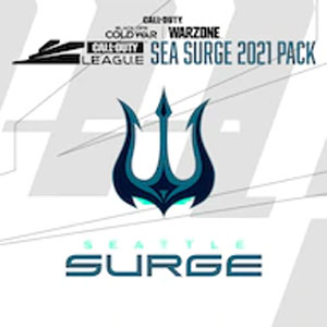 Buy Call of Duty League Seattle Surge Pack 2021 PS4 Compare Prices