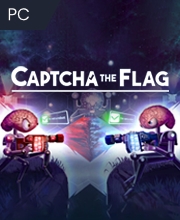 Captcha The Flag