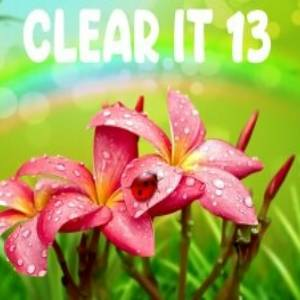 ClearIt 13 Pc