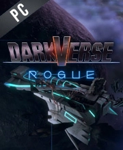Darkverse Rogue Pc