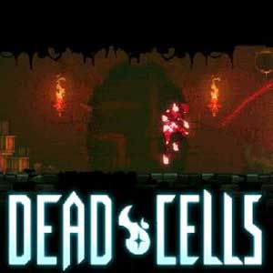Buy Dead Cells