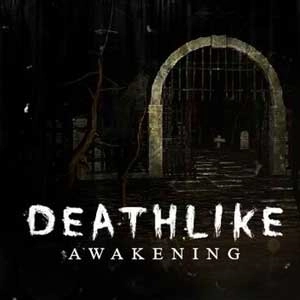 Deathlike Awakening Pc