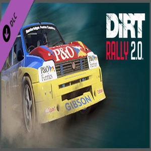 DiRT Rally 2 0 MG Metro 6R4 Rallycross