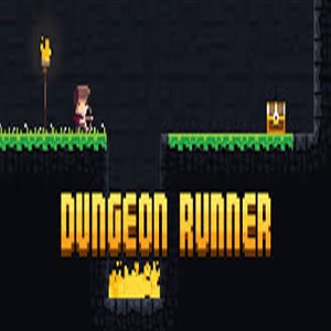 Buy DUNGEON RUNNER Nintendo 3DS Compare Prices