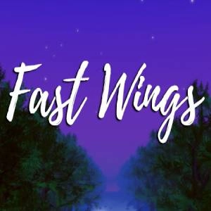 Fast Wings Pc