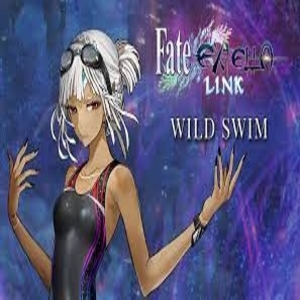 Buy Fate EXTELLA LINK  Wild Swim  PS4 Compare Prices