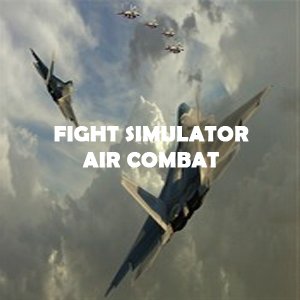 Fight Simulator Air Combat