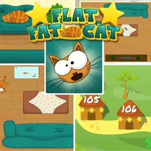 FlatFatCat