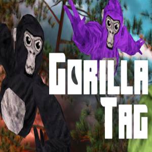 Buy Gorilla Tag CD Key Compare Prices