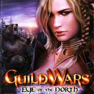 Buy Guild Wars Eye Of The North CD Key Compare Prices