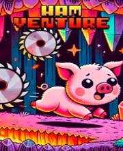 HAMVENTURE