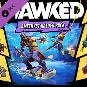 HAWKED Amethyst Raider Pack Xbox Series X