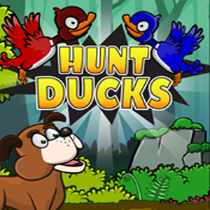 Hunt Ducks 4