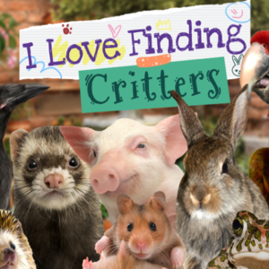Buy I Love Finding Critters CD Key Compare Prices