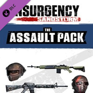 Insurgency Sandstorm Assault Pack