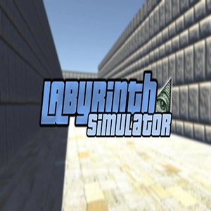 Labyrinth Simulator Pc