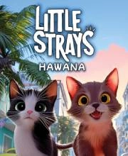 Little Strays Havana Switch