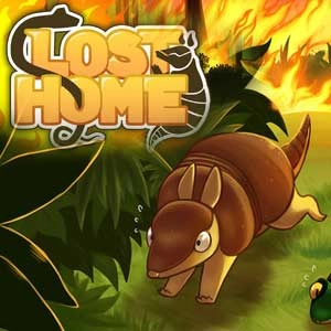 Lost Home Pc