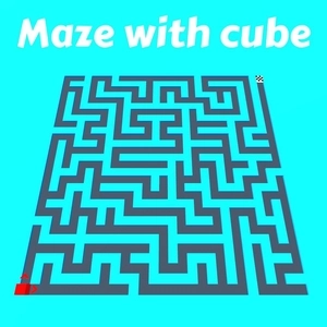 Maze with cube Switch