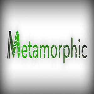 Buy Metamorphic CD Key Compare Prices