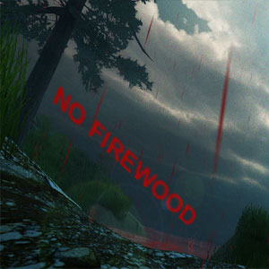 Buy No Firewood CD Key Compare Prices