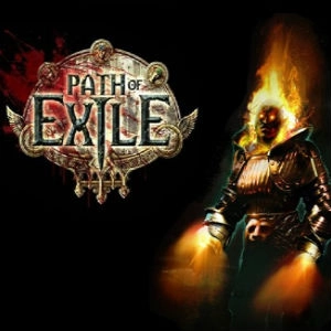 Path of Exile 50 Points Pc