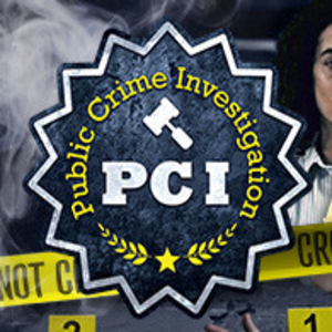 Buy PCI Public Crime Investigation CD Key Compare Prices
