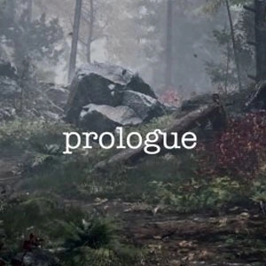 Playerunknown’s Prologue