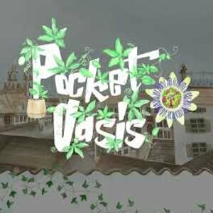 Pocket Oasis Pc
