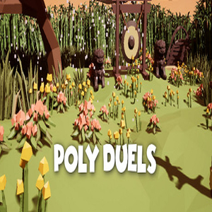Buy Poly Duels CD Key Compare Prices