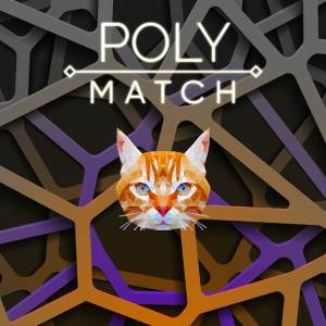 Poly Match Pc