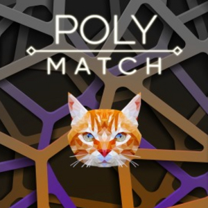 Poly Match Playstation 5
